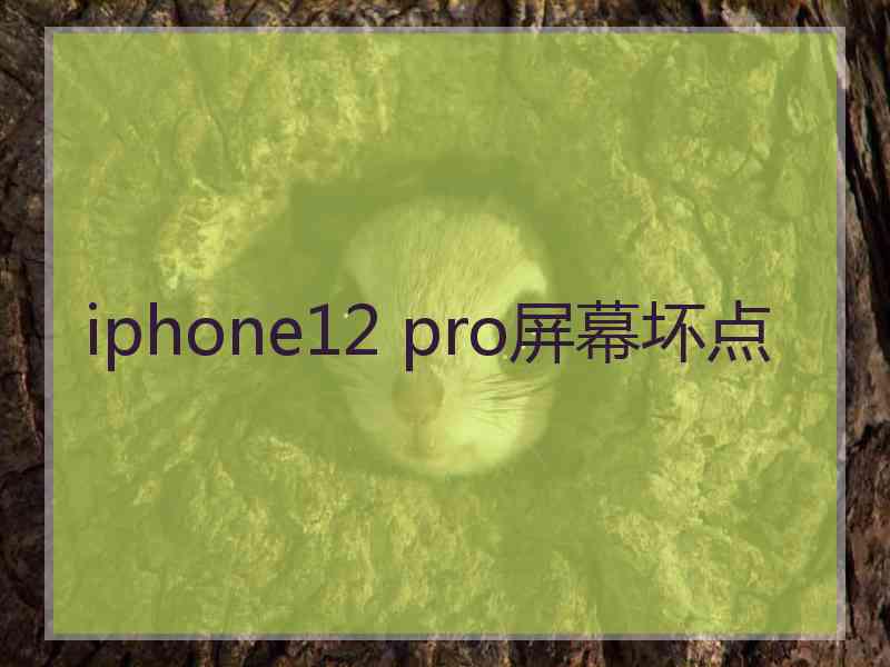 iphone12 pro屏幕坏点