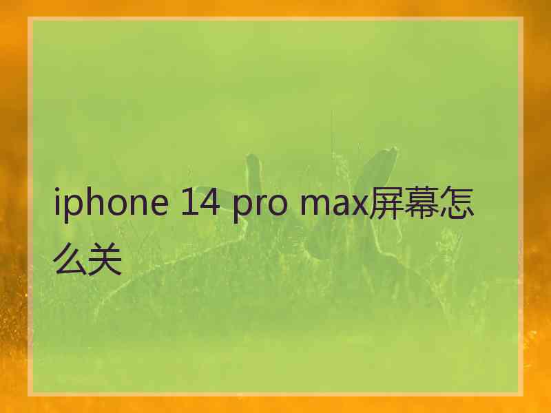 iphone 14 pro max屏幕怎么关