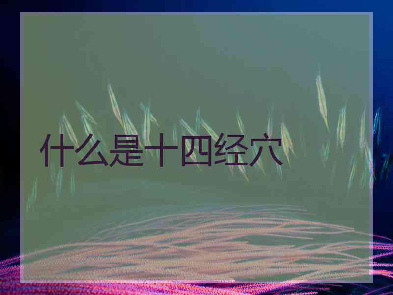 什么是十四经穴