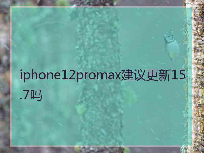 iphone12promax建议更新15.7吗