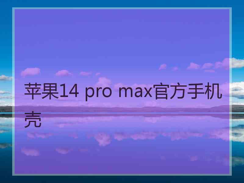 苹果14 pro max官方手机壳