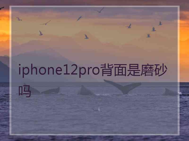 iphone12pro背面是磨砂吗