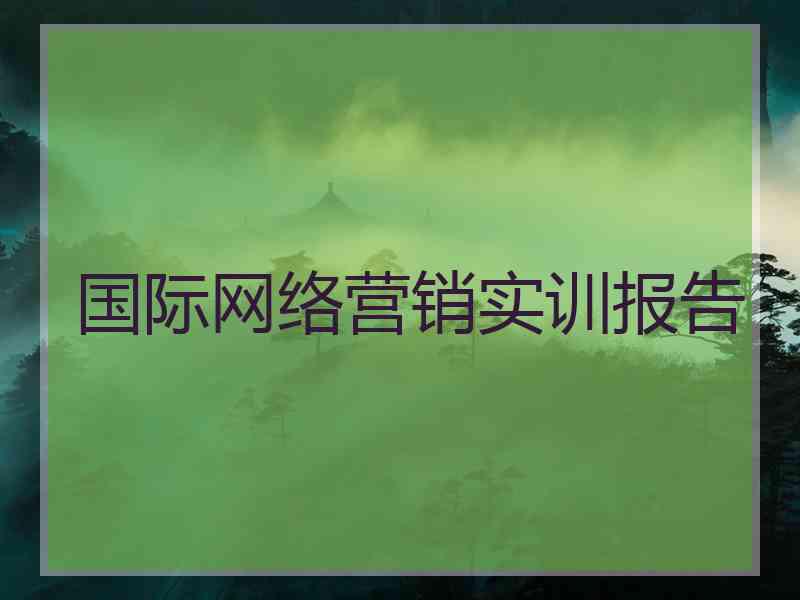 国际网络营销实训报告