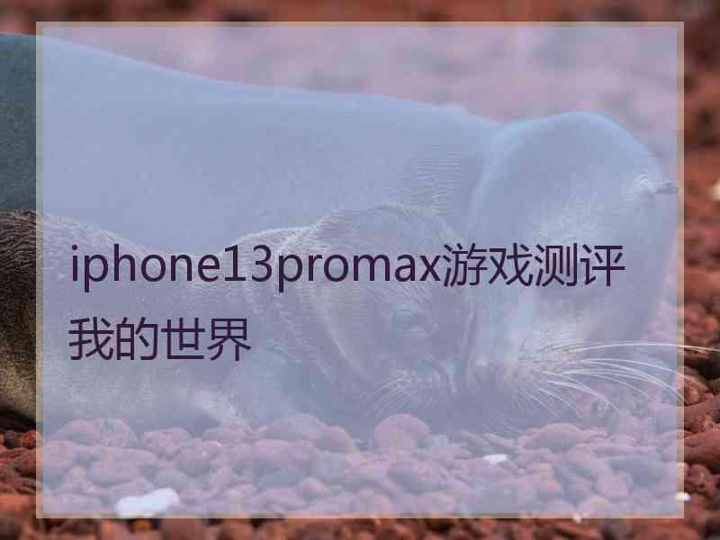 iphone13promax游戏测评我的世界