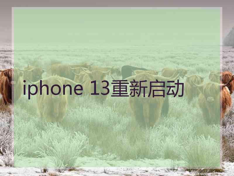 iphone 13重新启动