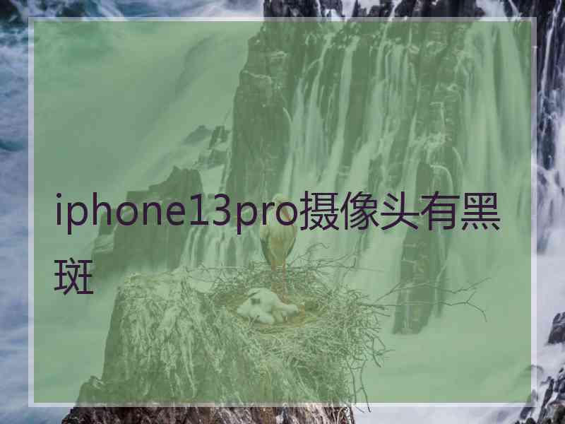 iphone13pro摄像头有黑斑