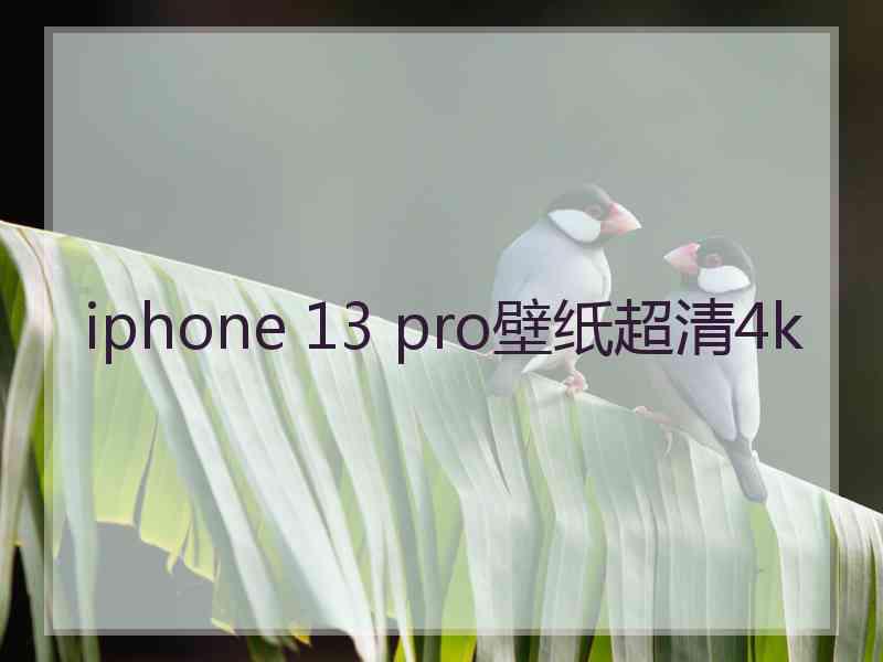 iphone 13 pro壁纸超清4k