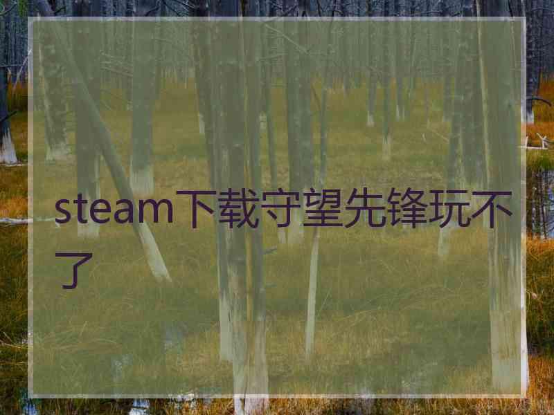 steam下载守望先锋玩不了