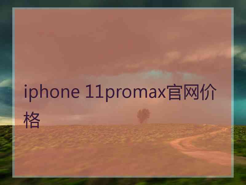 iphone 11promax官网价格