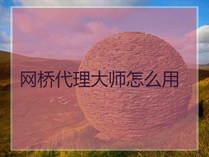 网桥代理大师怎么用