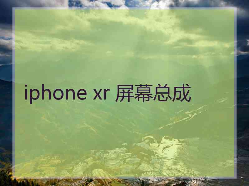 iphone xr 屏幕总成