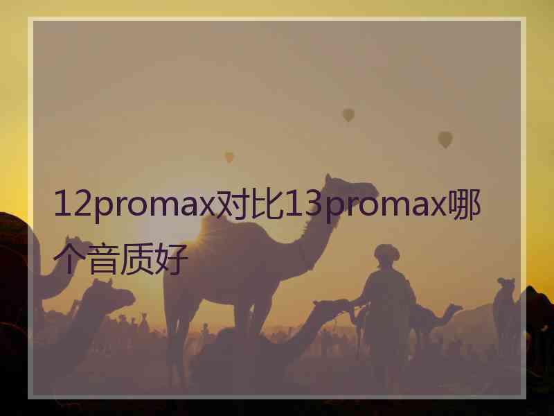 12promax对比13promax哪个音质好