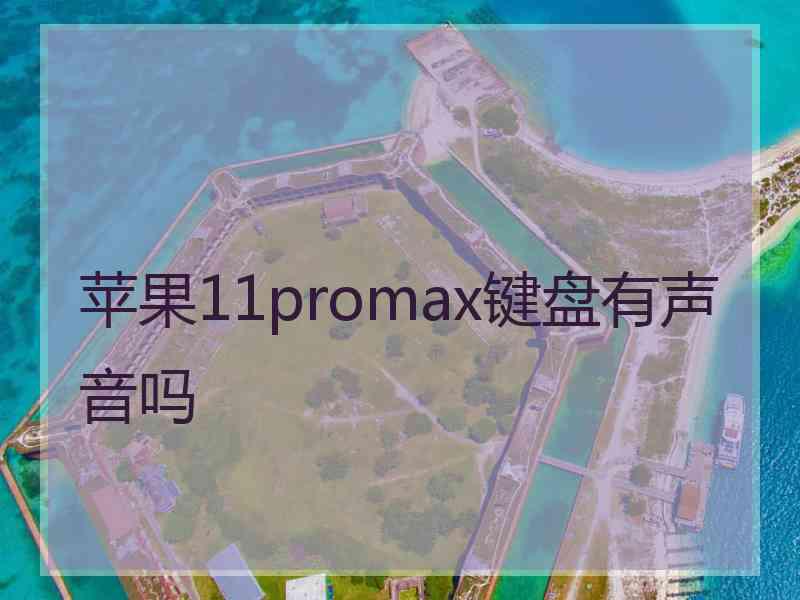 苹果11promax键盘有声音吗