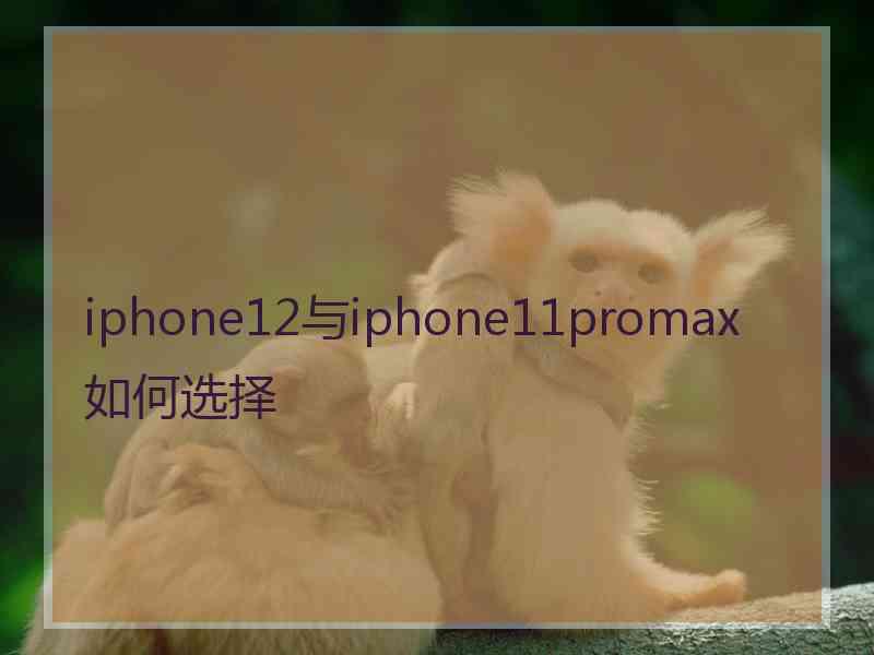 iphone12与iphone11promax如何选择