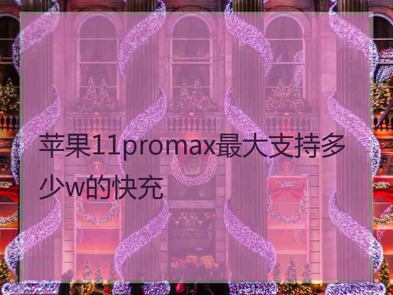 苹果11promax最大支持多少w的快充