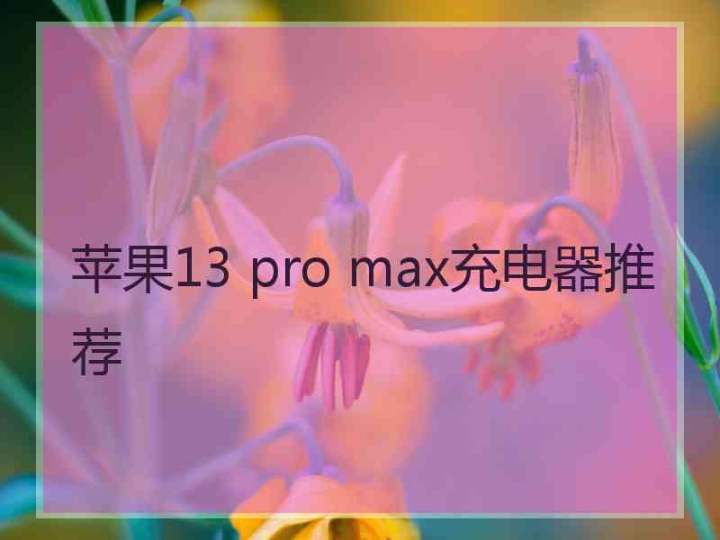 苹果13 pro max充电器推荐