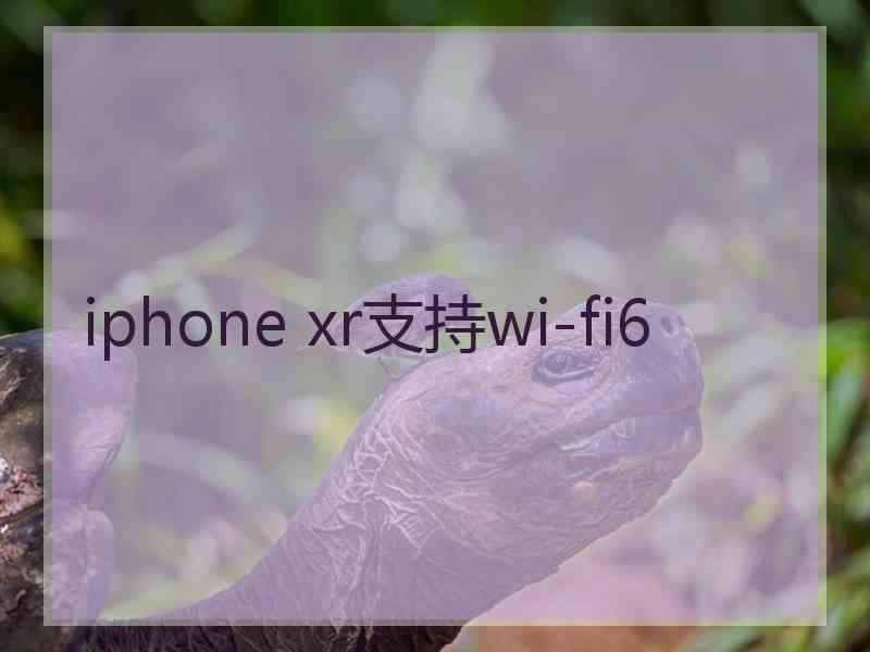 iphone xr支持wi-fi6