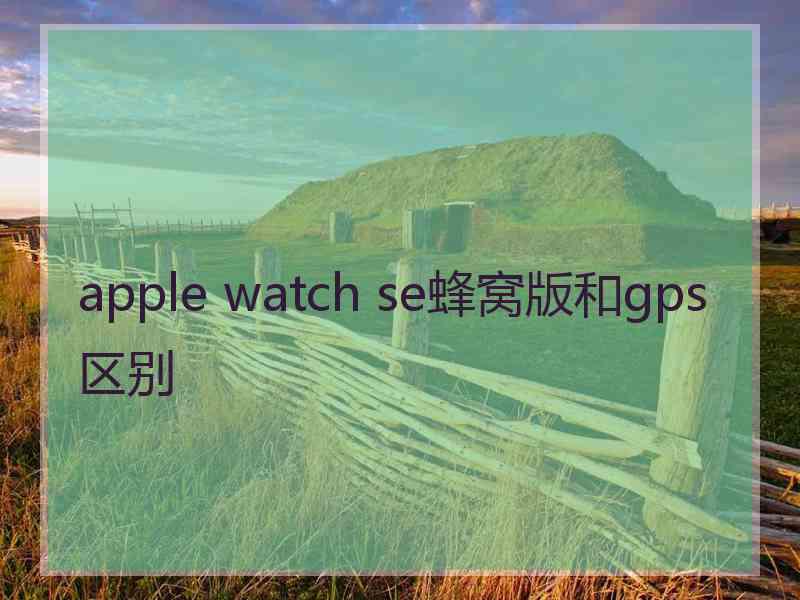 apple watch se蜂窝版和gps区别