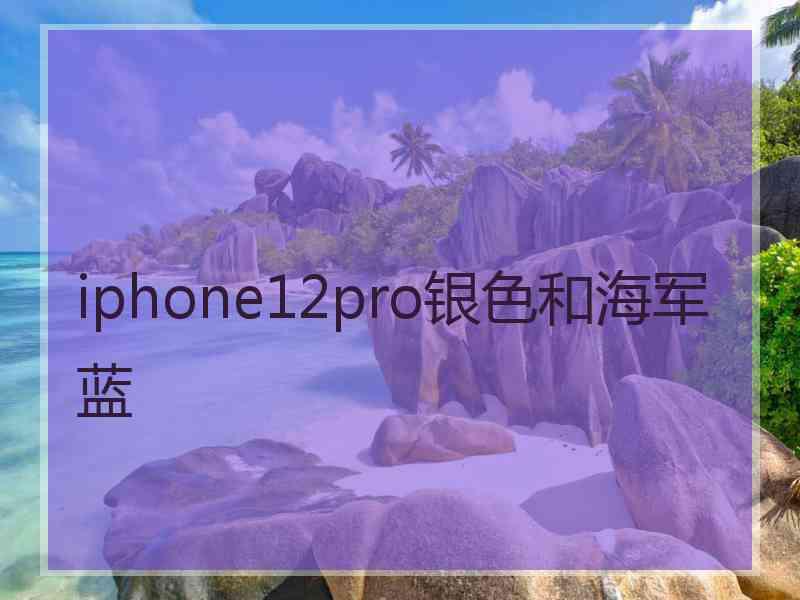 iphone12pro银色和海军蓝