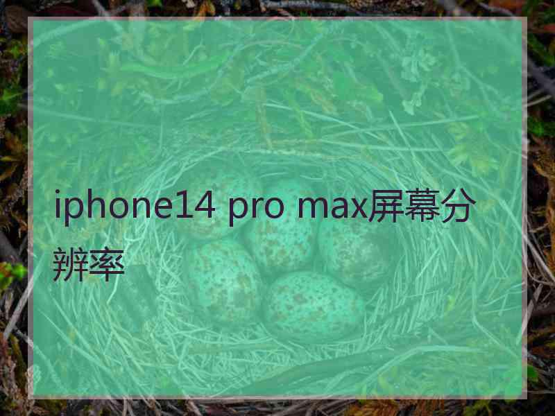 iphone14 pro max屏幕分辨率