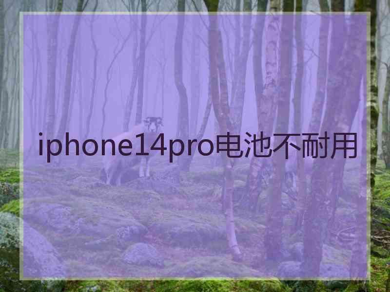 iphone14pro电池不耐用