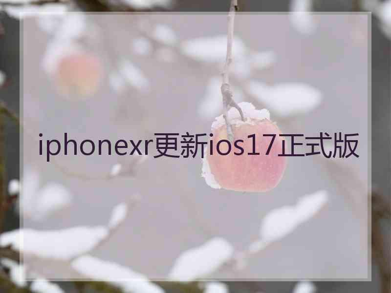 iphonexr更新ios17正式版