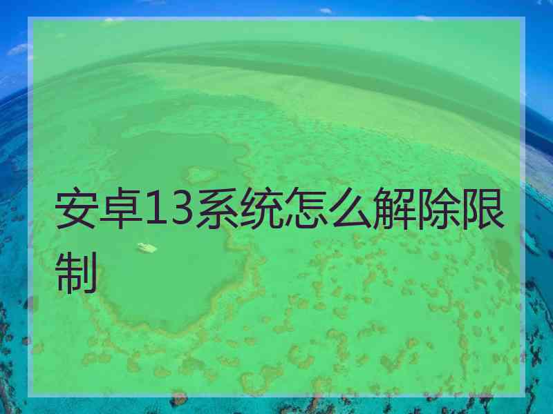 安卓13系统怎么解除限制