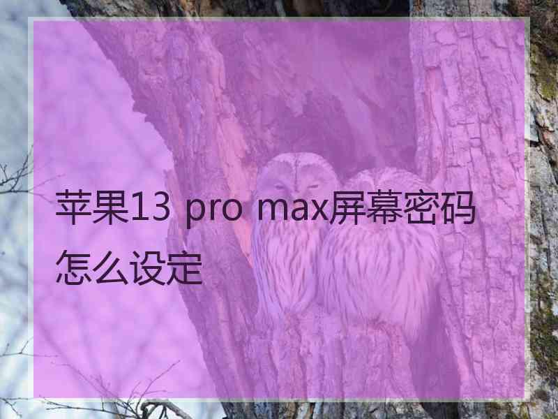 苹果13 pro max屏幕密码怎么设定