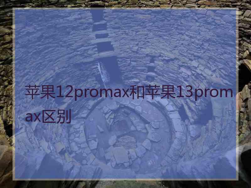 苹果12promax和苹果13promax区别