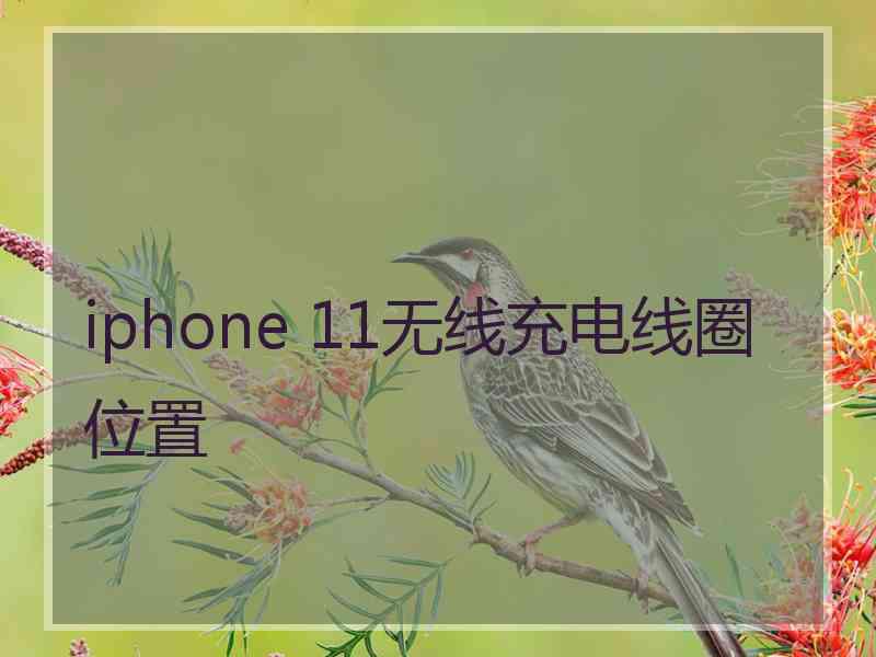 iphone 11无线充电线圈位置