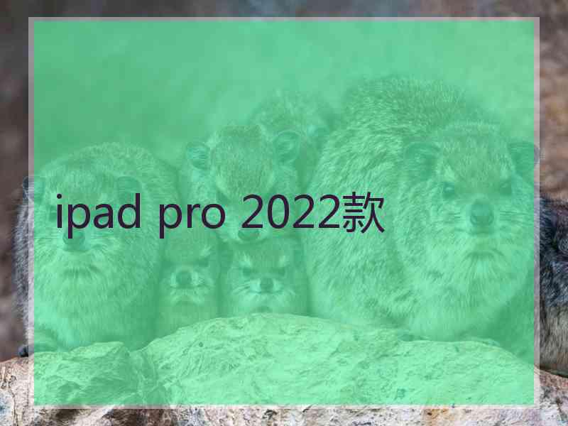 ipad pro 2022款