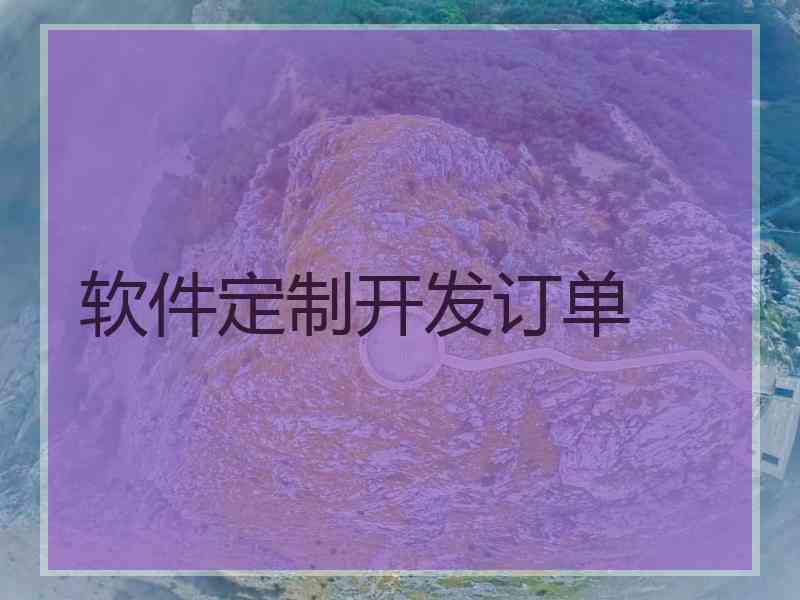 软件定制开发订单