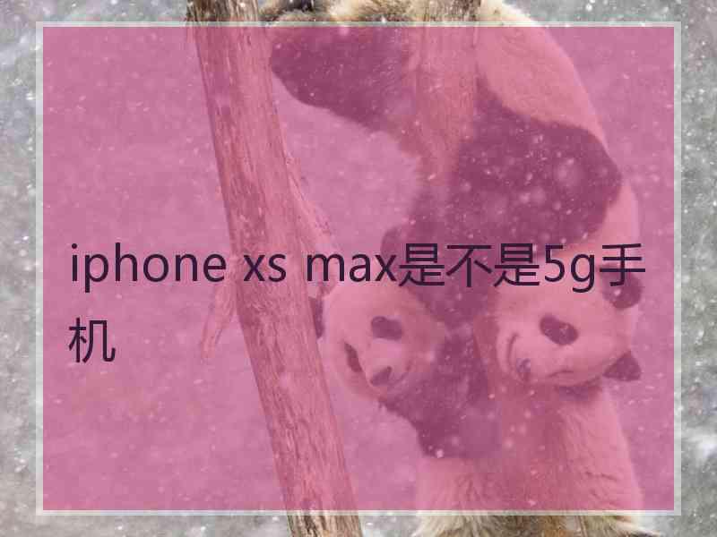 iphone xs max是不是5g手机