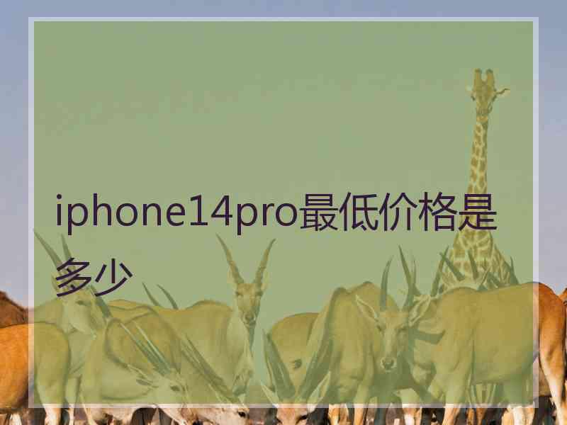 iphone14pro最低价格是多少