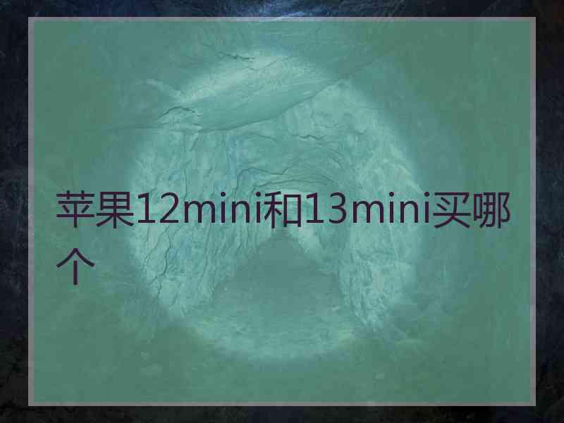 苹果12mini和13mini买哪个