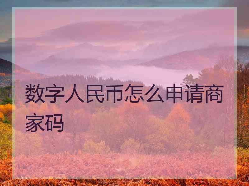 数字人民币怎么申请商家码