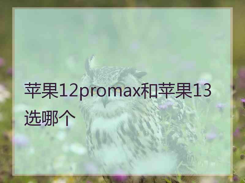 苹果12promax和苹果13选哪个