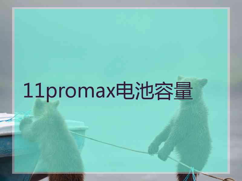 11promax电池容量