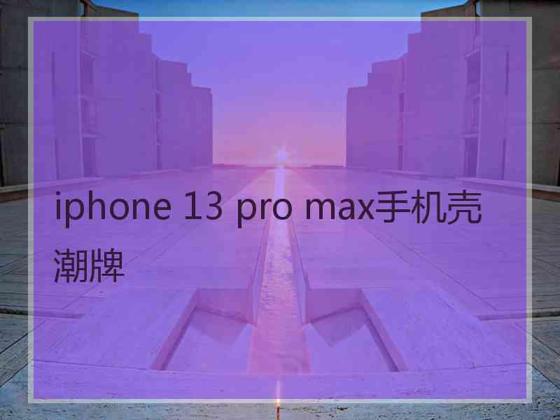 iphone 13 pro max手机壳潮牌