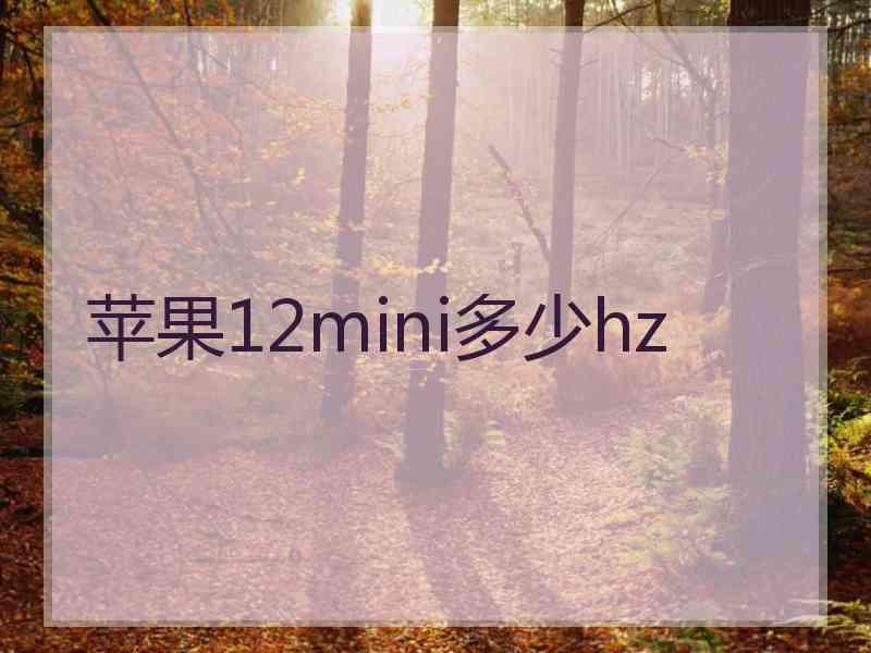 苹果12mini多少hz