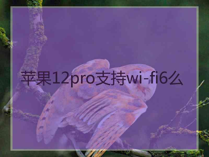 苹果12pro支持wi-fi6么