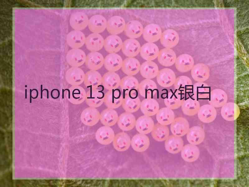 iphone 13 pro max银白