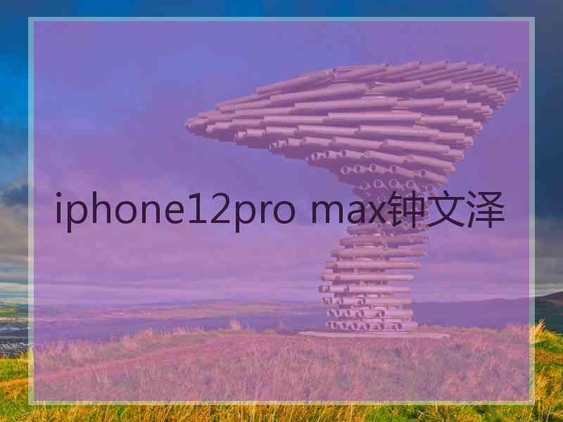 iphone12pro max钟文泽