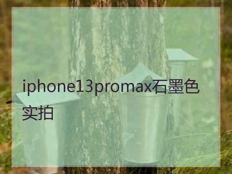 iphone13promax石墨色实拍