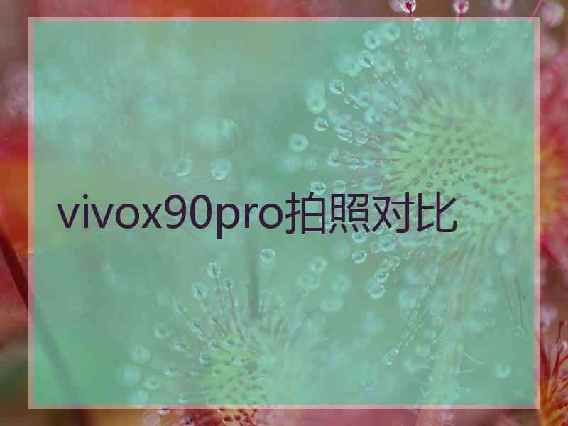 vivox90pro拍照对比