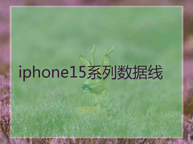 iphone15系列数据线