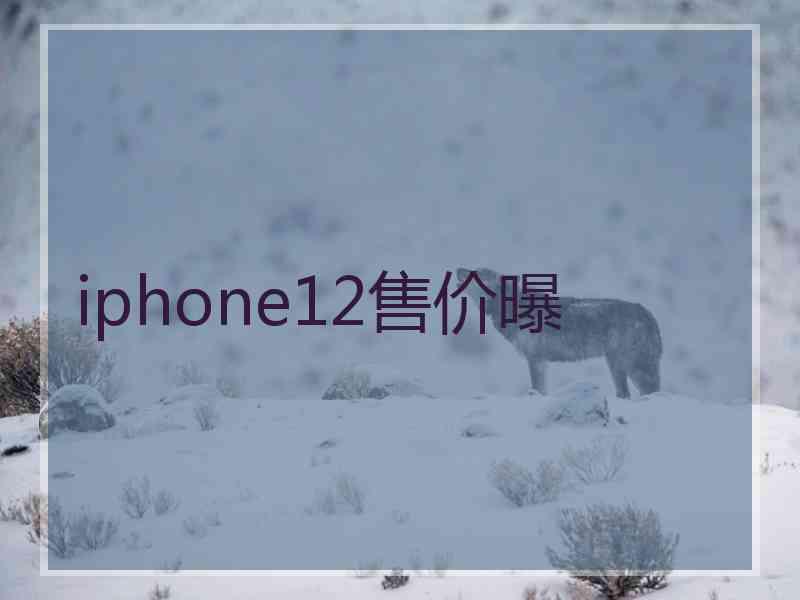 iphone12售价曝