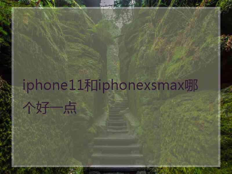 iphone11和iphonexsmax哪个好一点