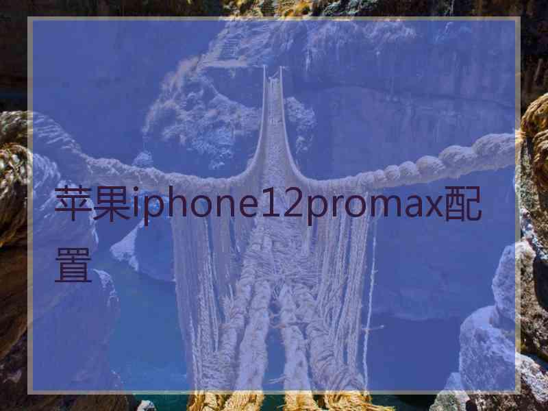 苹果iphone12promax配置