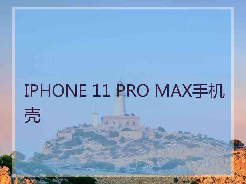 IPHONE 11 PRO MAX手机壳